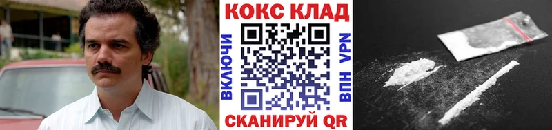 Cocaine FishScale  нарко площадка как зайти  Вытегра 