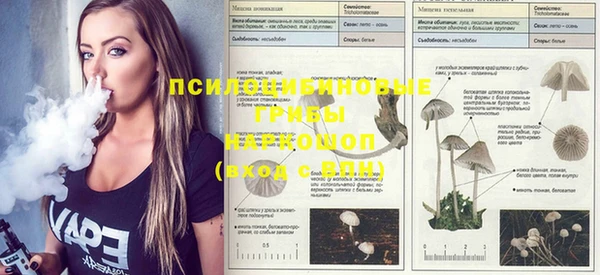 2c-b Волосово