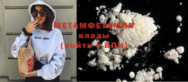 прущие грибы Волоколамск