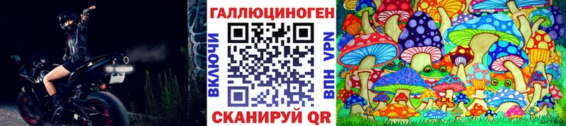 наркошоп  omg ссылки  Псилоцибиновые грибы GOLDEN TEACHER  Вытегра 