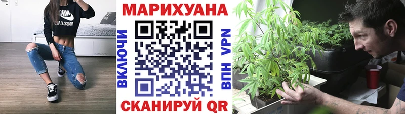 Бошки марихуана индика  Вытегра 